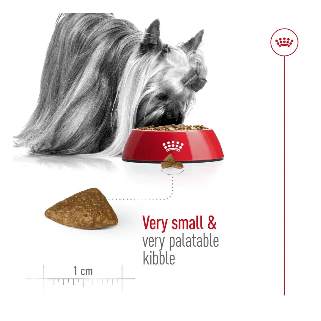 Royal Canin X Small Adult Dog Ageing 12+ Dry Dog Food