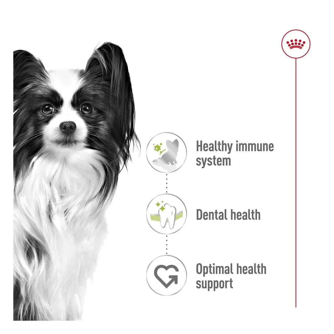 Royal Canin X Small Adult Dry Dog Food