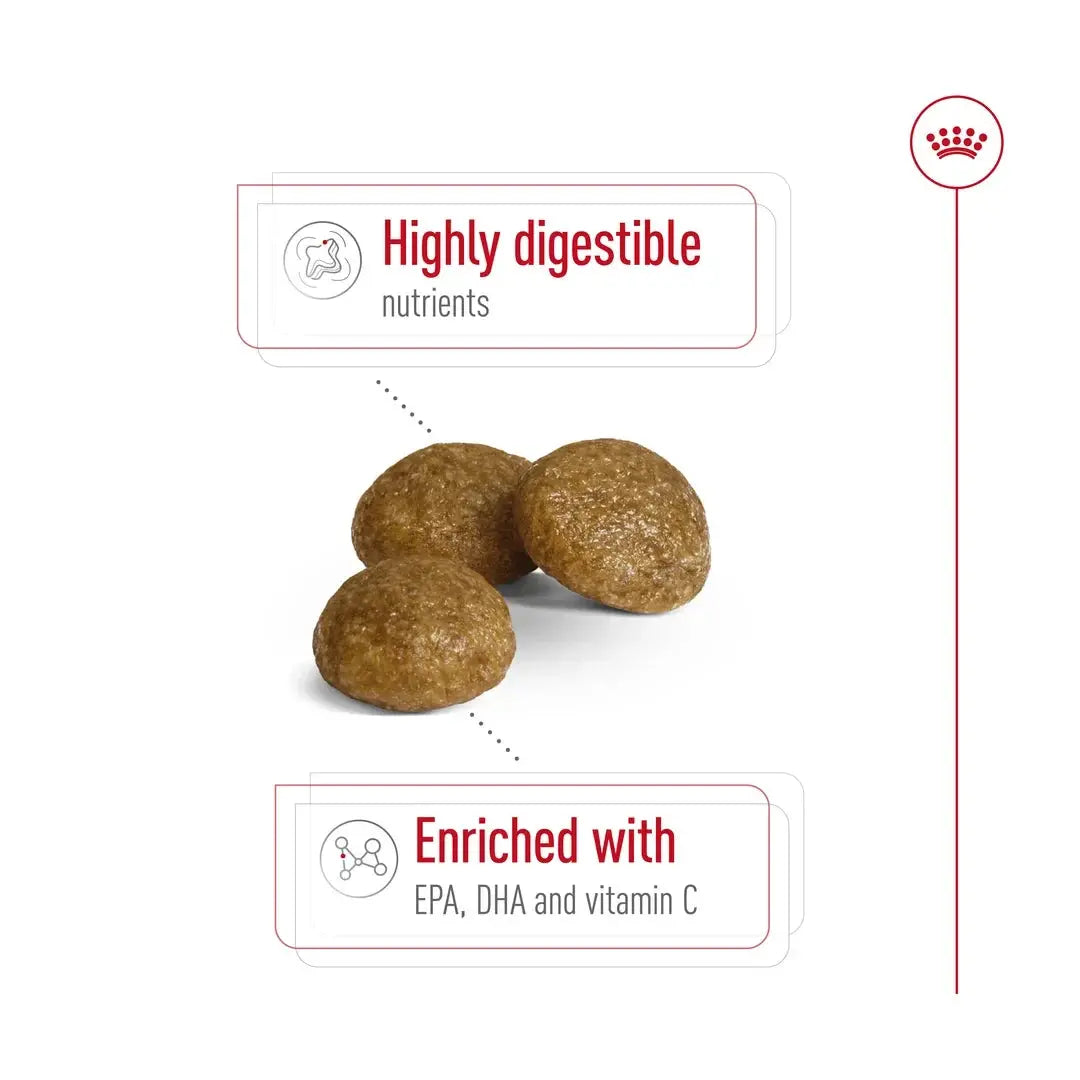 Royal Canin X Small Adult Dry Dog Food