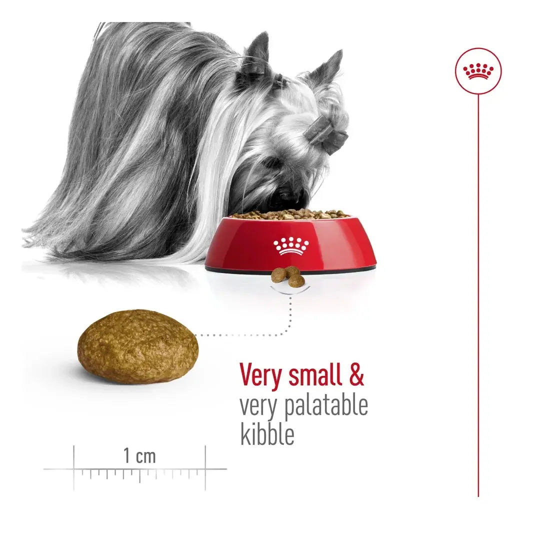 Royal Canin X Small Adult Dry Dog Food
