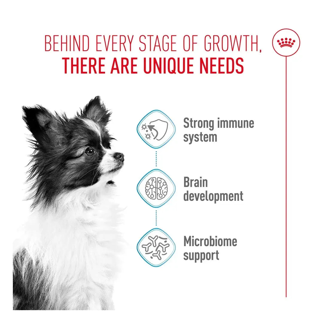 Royal Canin X Small Puppy Food