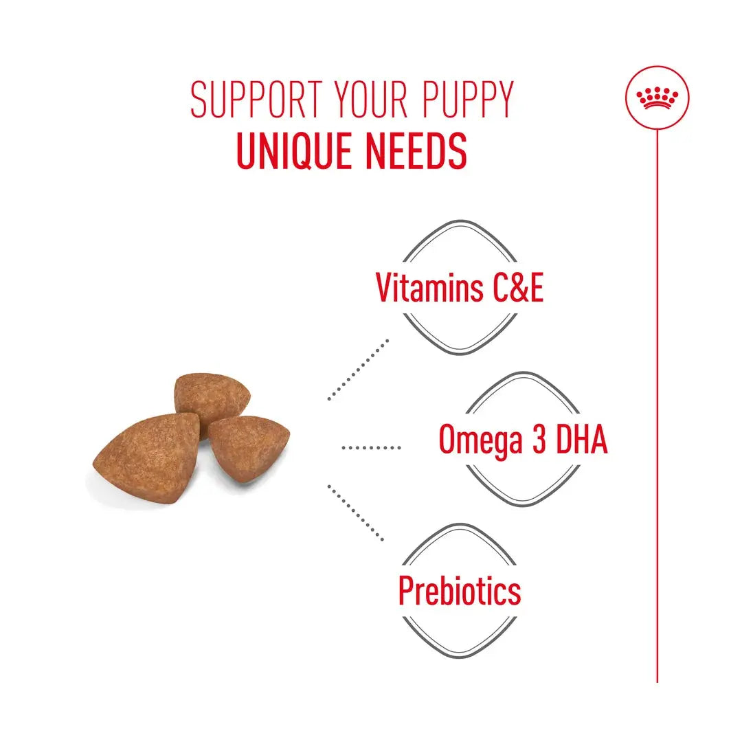 Royal Canin X Small Puppy Food