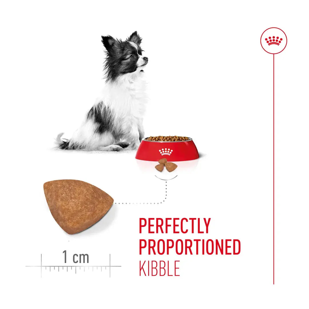 Royal Canin X Small Puppy Food
