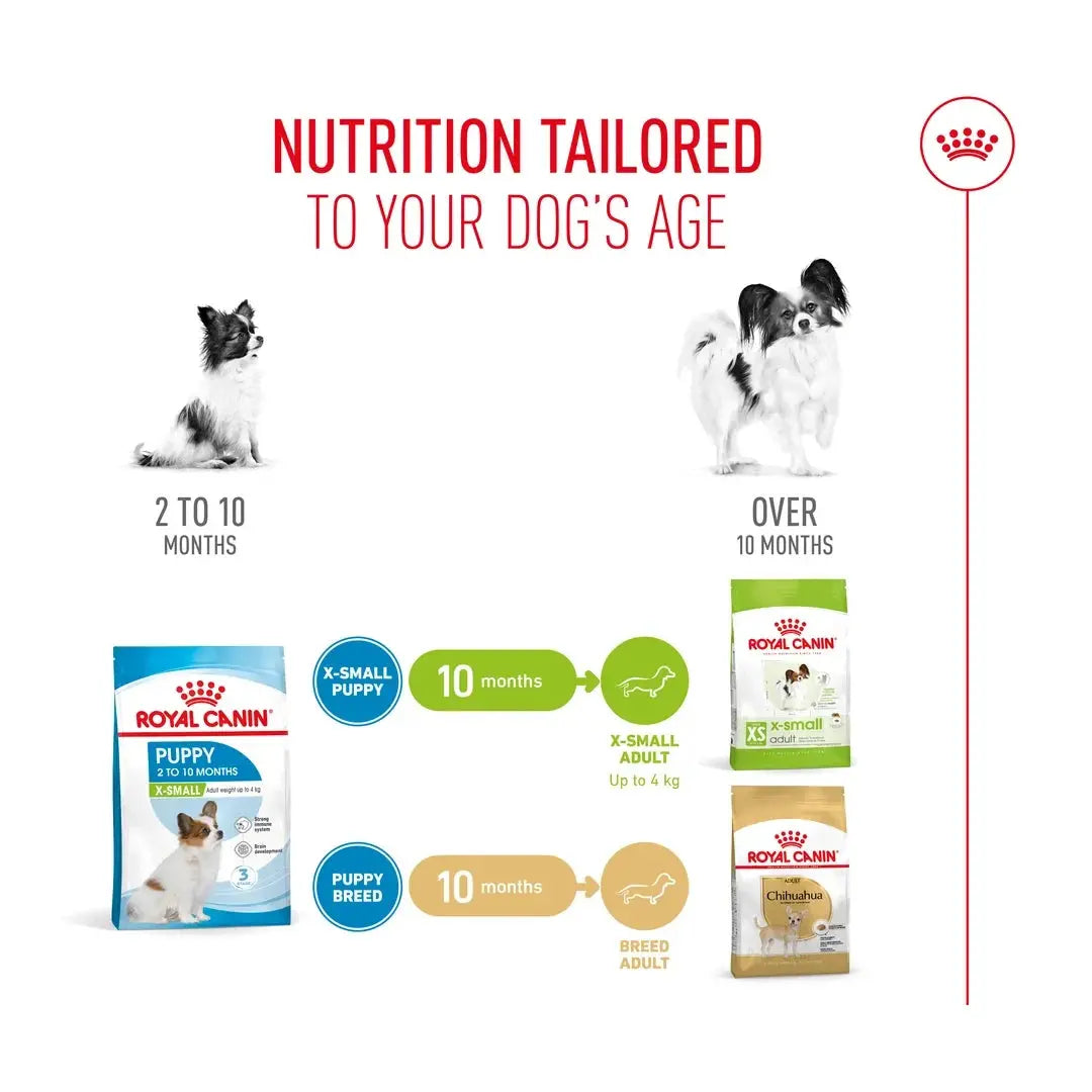 Royal Canin X Small Puppy Food
