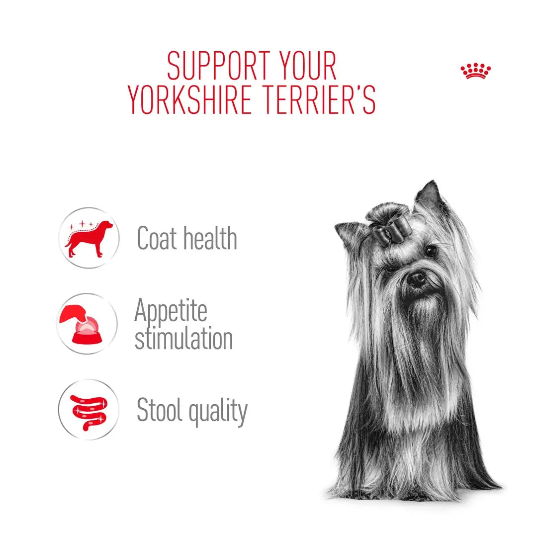Royal Canin Yorkshire Terrier Adult Wet Dog Food Pouch