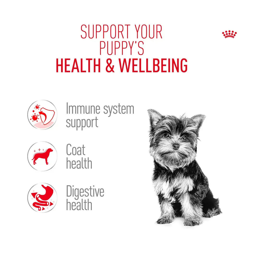 Royal Canin Yorkshire Terrier Puppy Dry Dog Food