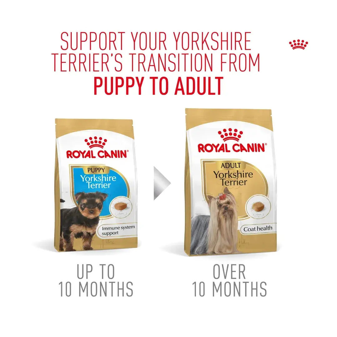 Royal Canin Yorkshire Terrier Puppy Dry Dog Food