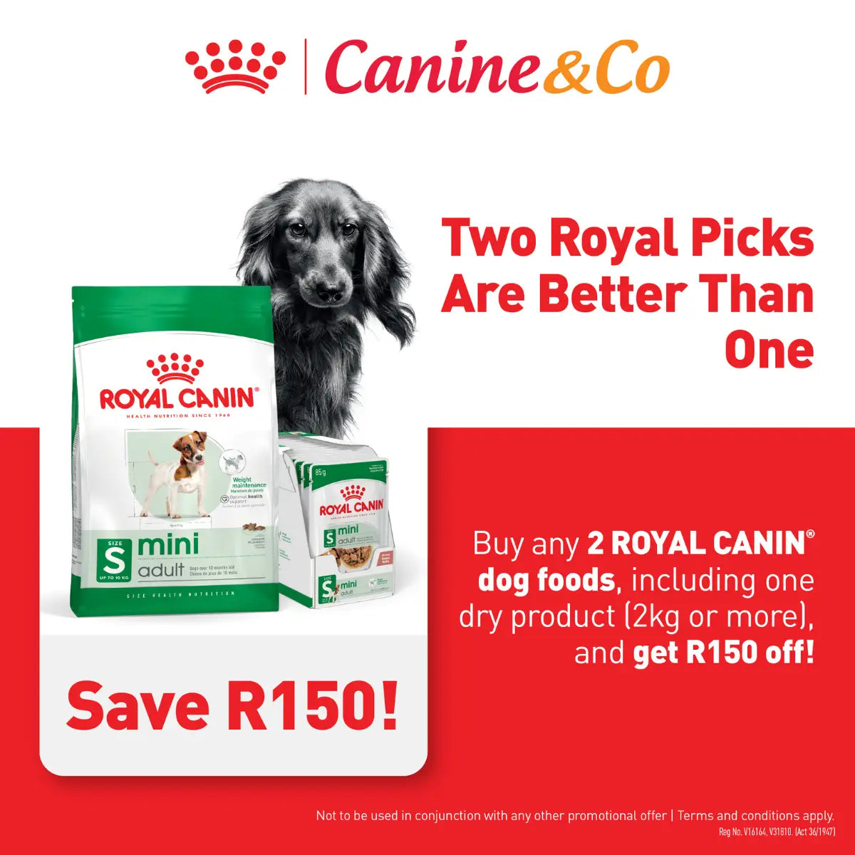 Royal Canin Dog Food, Buy 2 Save R150