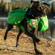 Ruffwear Approach Day Pack   | Canine & Co