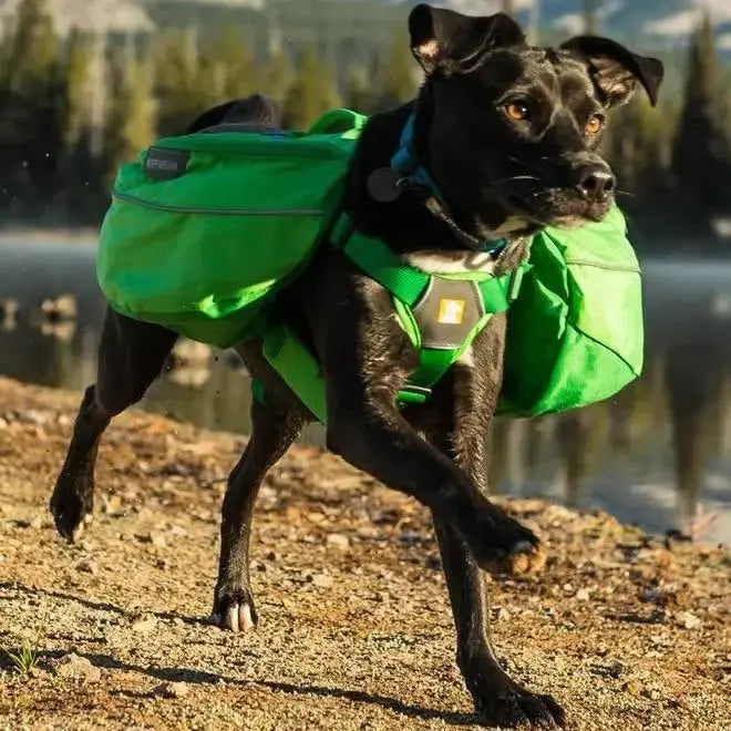Ruffwear Approach Day Pack | Buy Ruffwear Dog Backpacks Online