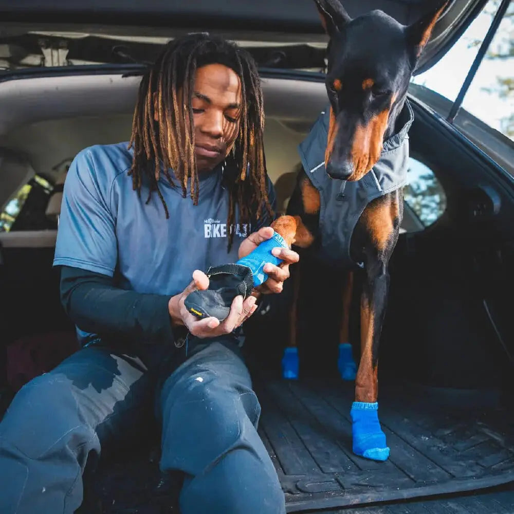 Person and Doberman in a car, playing with a toy, showcasing a fun outdoor adventure.