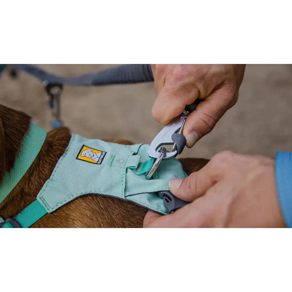 Dog harness being secured with a clip, showcasing a comfortable fit for outdoor adventures.
