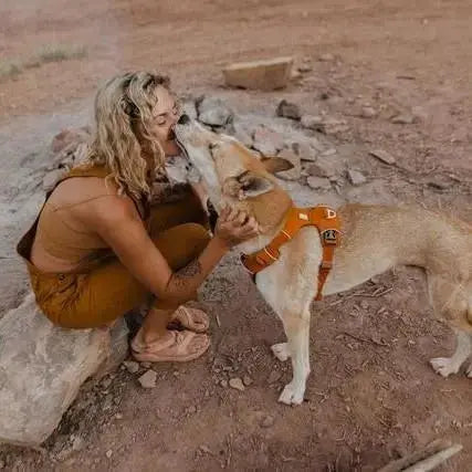Woman and dog sharing a loving moment outdoors by a campfire.