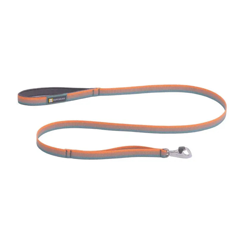 Durable dog leash in blue and orange, perfect for walks and training.