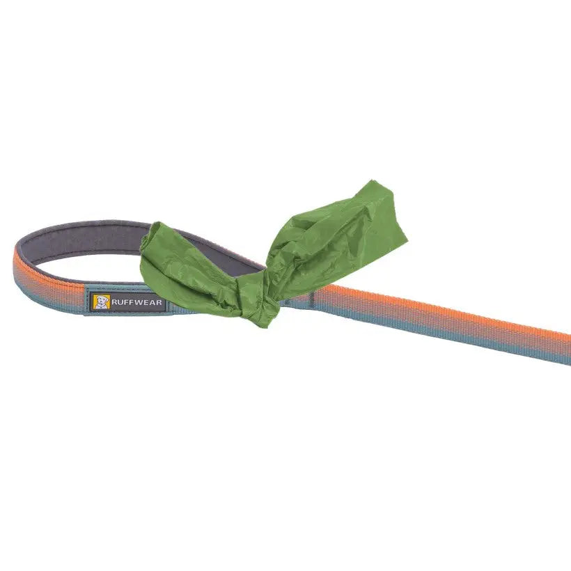 Dog leash with integrated waste bag holder for convenient clean-up during walks.