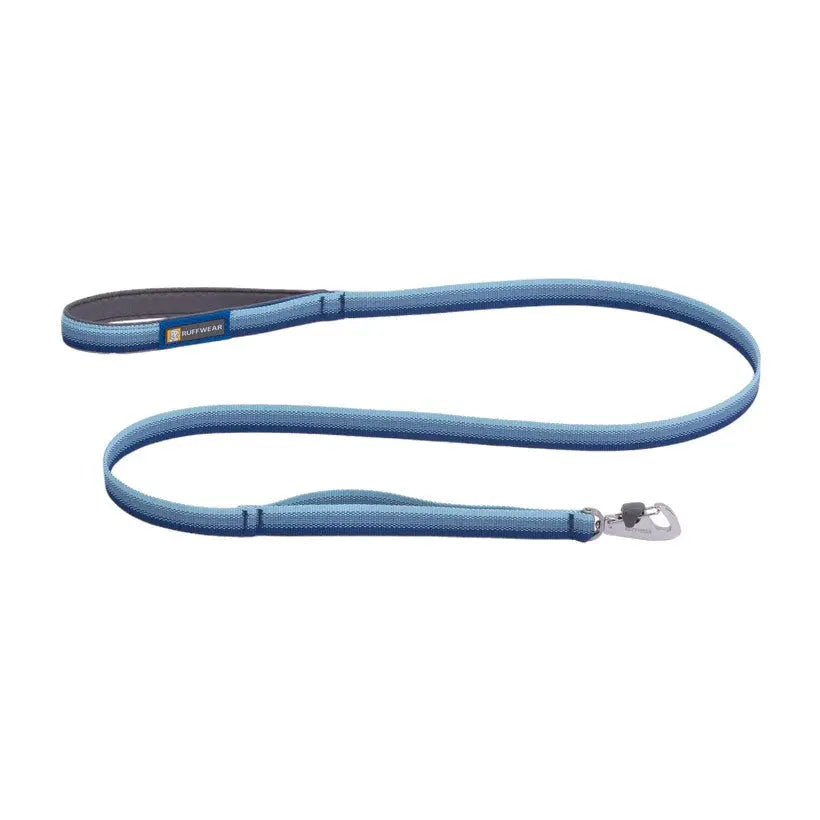 Durable blue dog leash with comfortable grip and secure clip for safe walks.