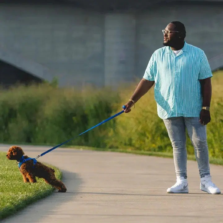 Man walking a brown poodle on a leash in a park setting.