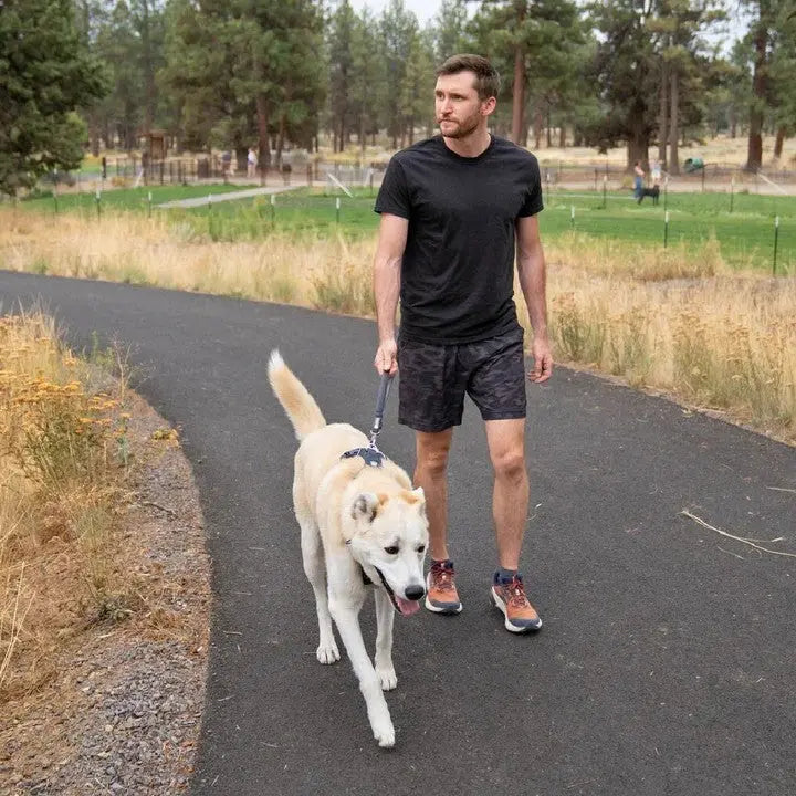 Man walking a dog on a scenic trail, enjoying outdoor exercise and companionship.