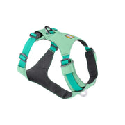 Adjustable dog harness in teal, designed for comfort and secure fit during walks.