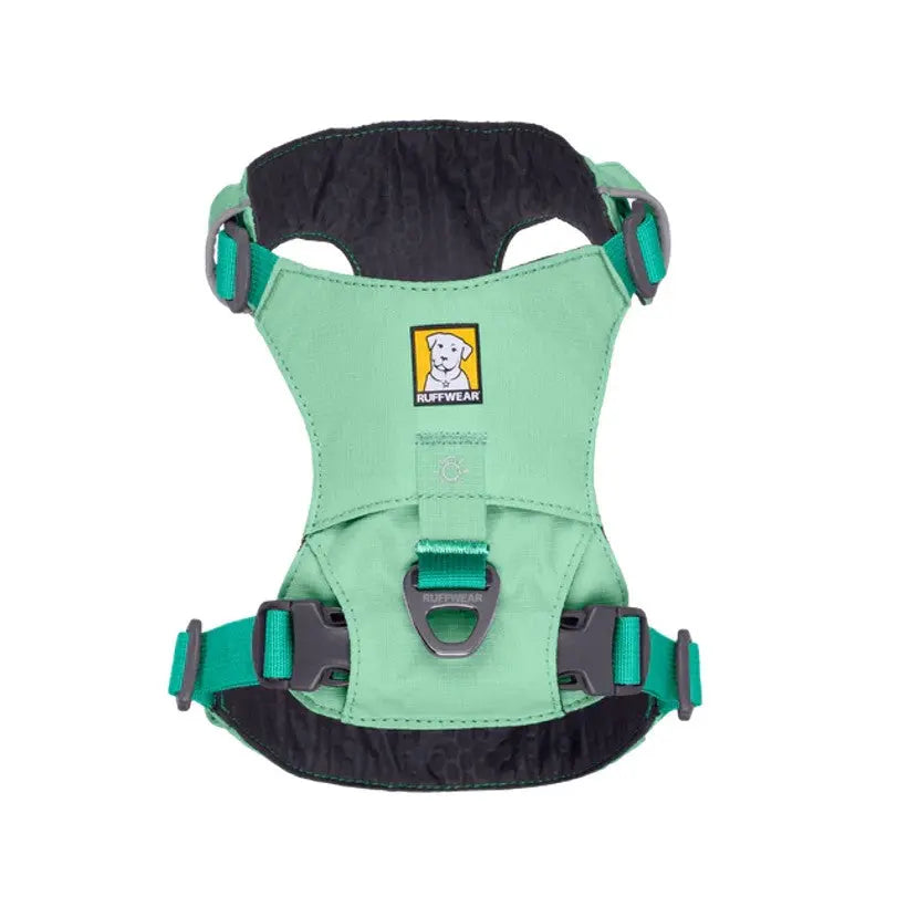 Ruffwear dog harness in green, designed for comfort and safety during outdoor adventures.