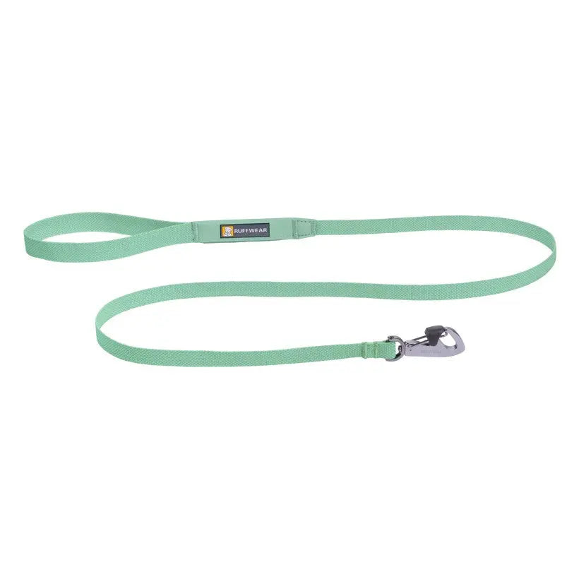 Durable green dog leash with a sturdy clip for secure walks and outdoor adventures.