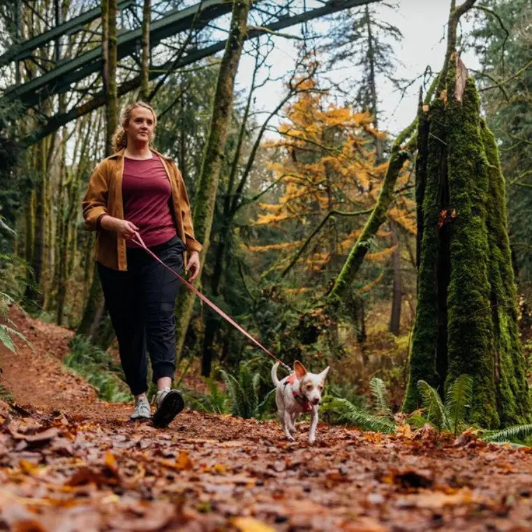 Woman walking a small dog on a forest trail covered in autumn leaves.