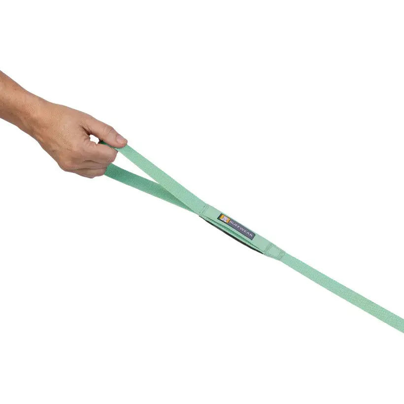 Hand holding a mint green dog leash, showcasing its durable design and comfortable grip.