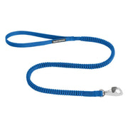 Blue elastic dog leash with a sturdy clip for secure walks and outdoor adventures.