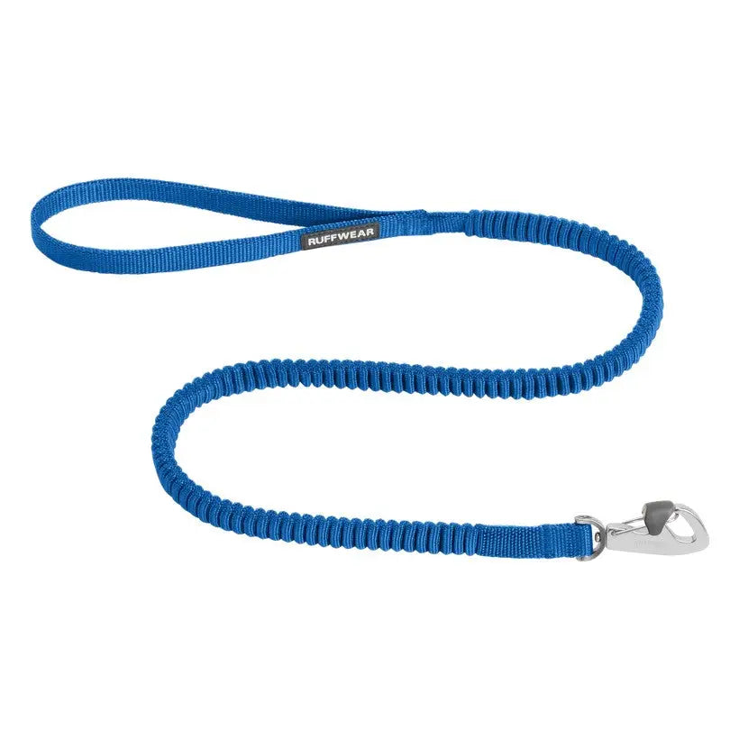 Blue elastic dog leash with a sturdy clip for secure walks and outdoor adventures.