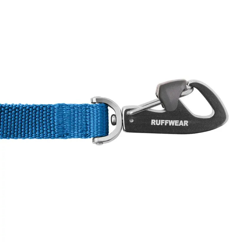 Durable blue dog leash with a secure clip for safe outdoor adventures.