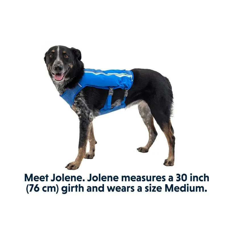 Dog wearing a blue life jacket, showcasing size Medium and 30-inch girth for safety in water activities.