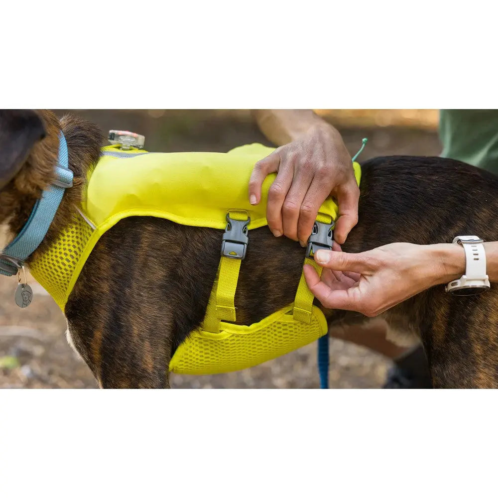 Dog harness being adjusted for a secure fit during outdoor activities.