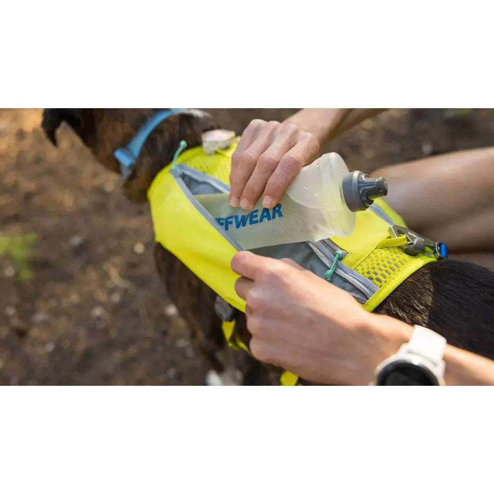 Dog hydration vest with water bottle pocket for outdoor adventures.