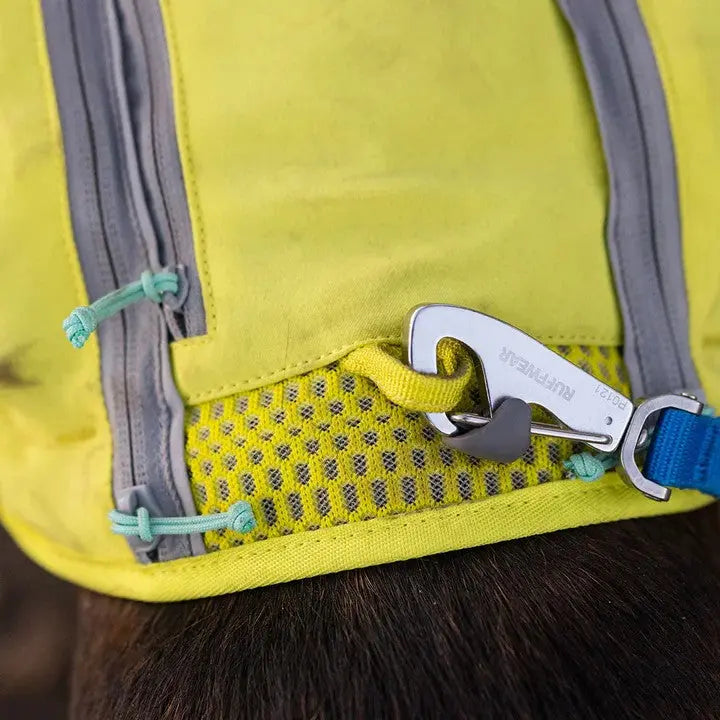 Durable dog harness with reflective stitching and secure clip for safe outdoor adventures.