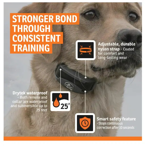 PetSafe Sport Remote Trainer 700m