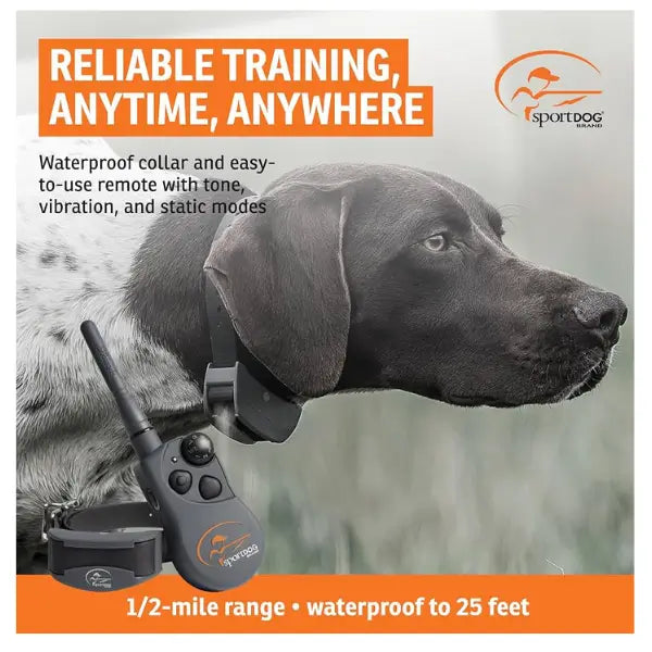 PetSafe Sport Remote Trainer 700m