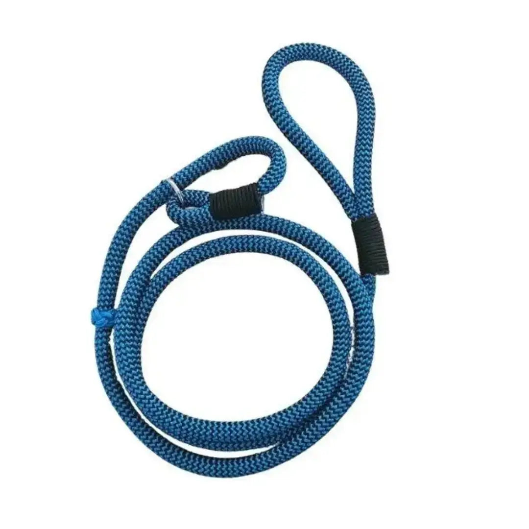 Show Slip Lead – Medium  Black Blue | Canine & Co