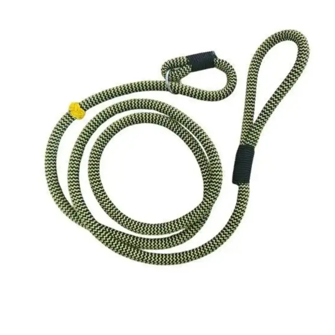 Show Slip Lead – Medium  Black Yellow | Canine & Co