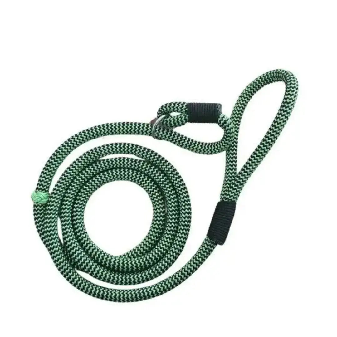 Show Slip Lead – Medium  Black Green | Canine & Co