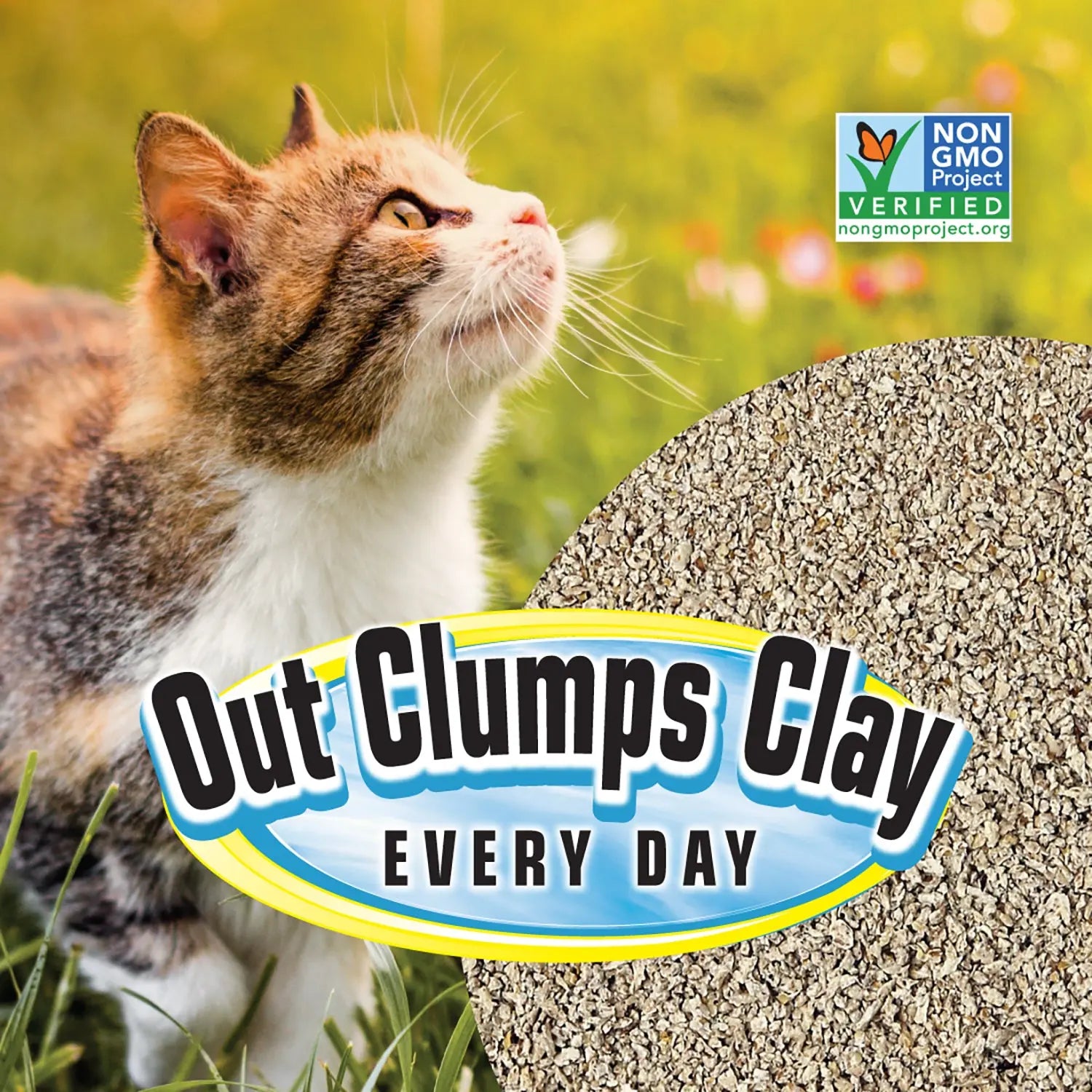 Cat playing outdoors with Out Clumps Clay litter packaging featuring a non-GMO verification label.