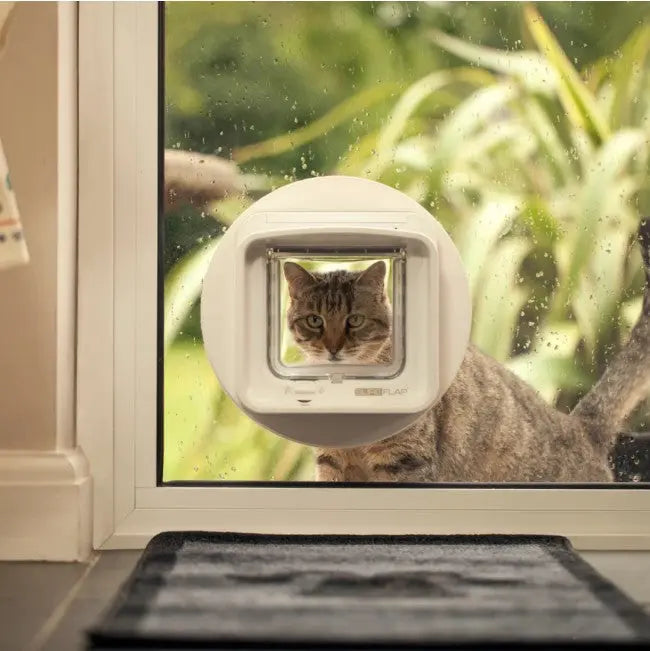 Cat using a pet door to enter a home, surrounded by greenery and rain.