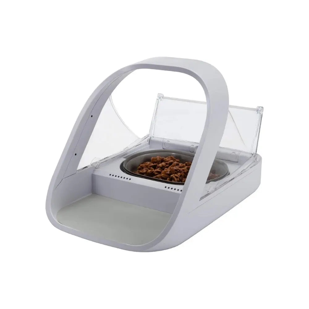 Automatic pet feeder with transparent lid and stainless steel bowl for convenient feeding.