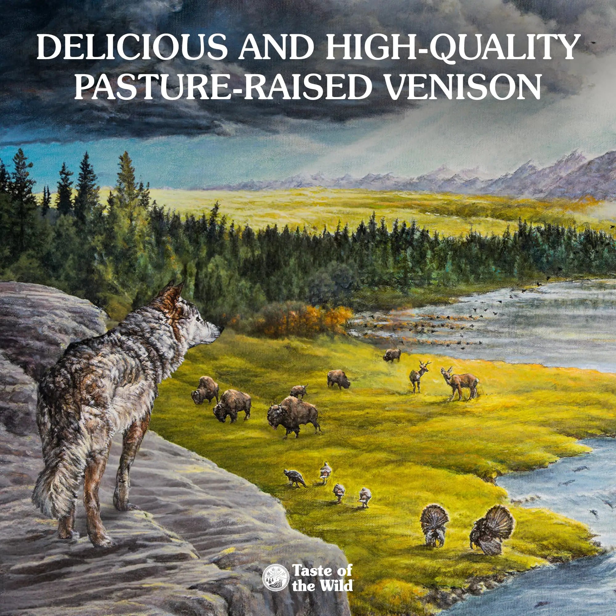 Protein sources in Taste of the Wild Appalachian Valley