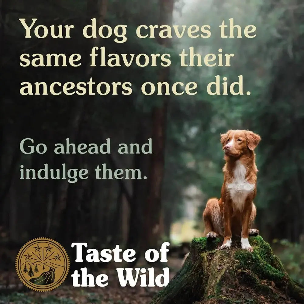 Dog standing on a rock in a forest, promoting natural flavors from Taste of the Wild pet food.