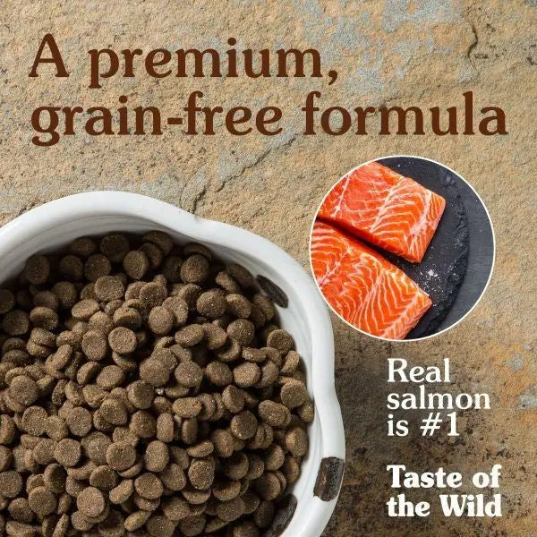 Premium grain-free dog food featuring real salmon as the main ingredient in a stylish bowl.