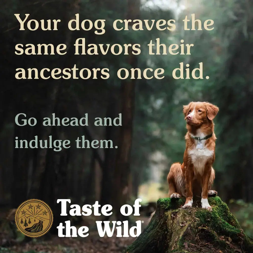 Dog standing on a tree stump in a forest, promoting Taste of the Wild pet food.