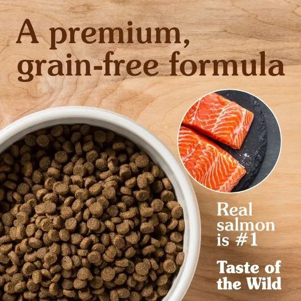 Premium grain-free dog food featuring real salmon as the main ingredient in a stylish bowl.