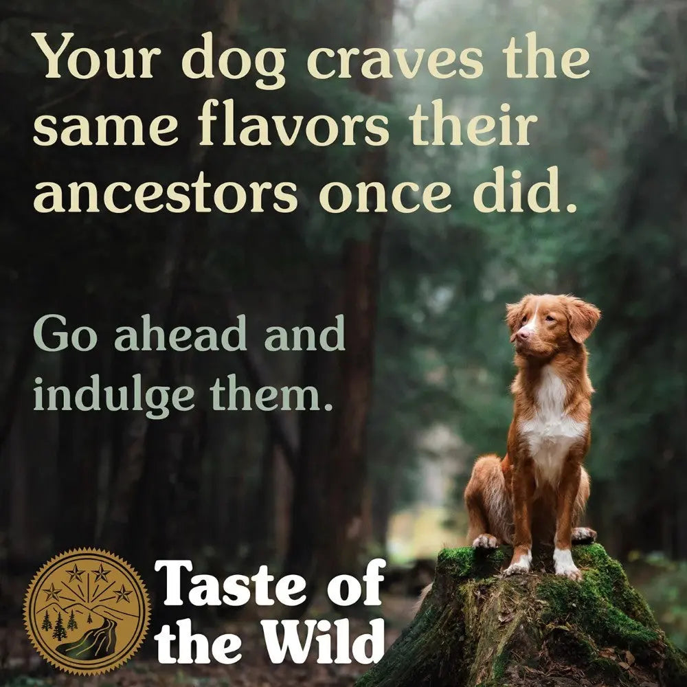 Dog standing on a rock in a forest, promoting natural flavors from Taste of the Wild pet food.