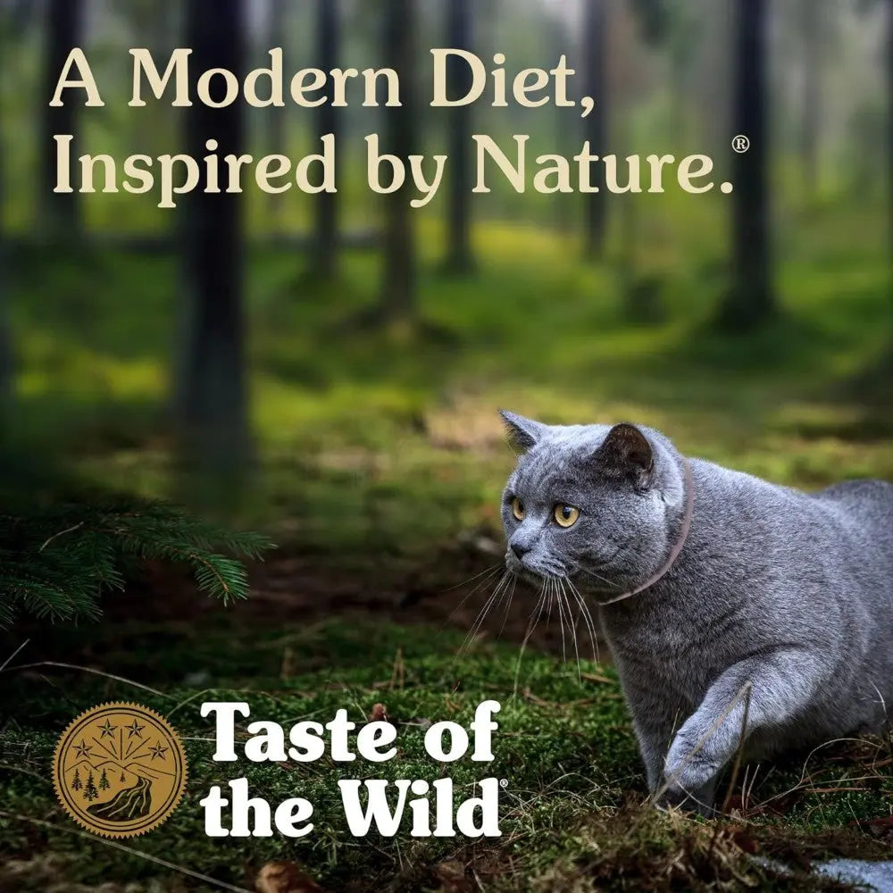 Gray cat exploring a forest, promoting Taste of the Wild's natural diet for pets.