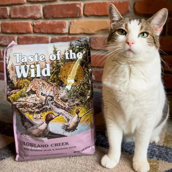 Taste of the Wild Feline Lowland Creek All Life Stages with Roasted Quail & Roasted Duck Dry Cat Food   | Canine & Co